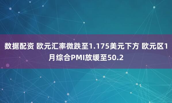 数据配资 欧元汇率微跌至1.175美元下方 欧元区1月综合PMI放缓至50.2