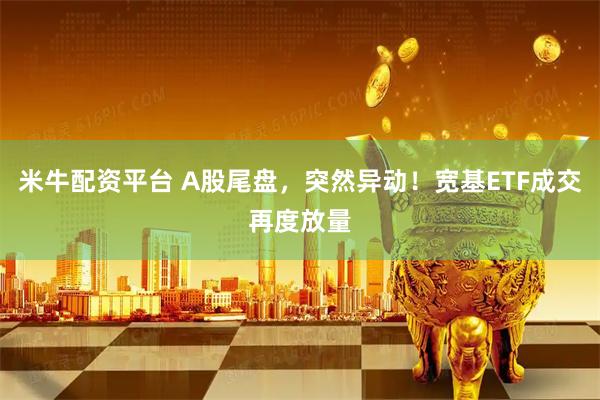 米牛配资平台 A股尾盘，突然异动！宽基ETF成交再度放量